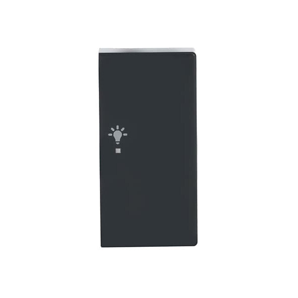 Busch-Jaeger Wippe 2-f re, Symbol Licht anthrazit 6231-22-81